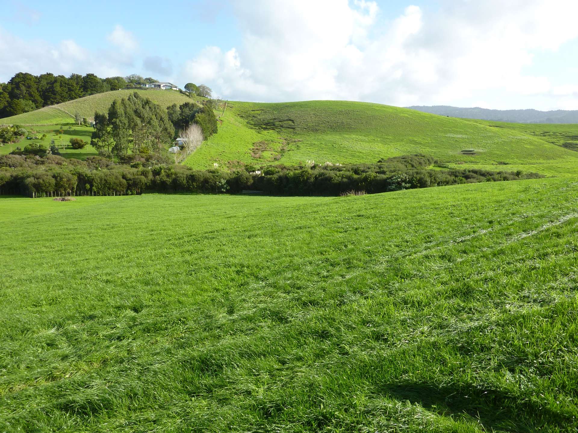 Address withheld Matakana_0