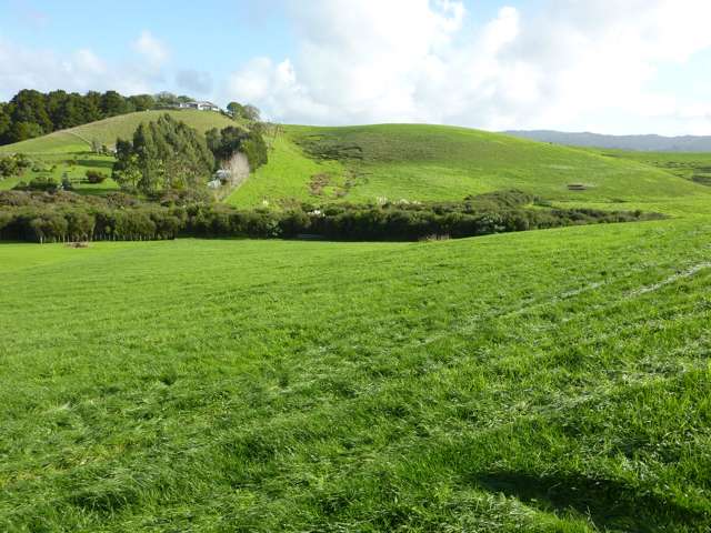 Luxury Lifestyle Living in Matakana