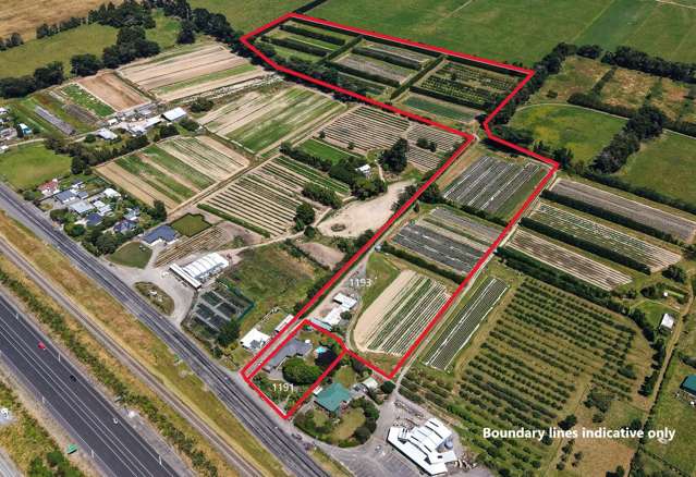 Viewings via open homes or by appointment