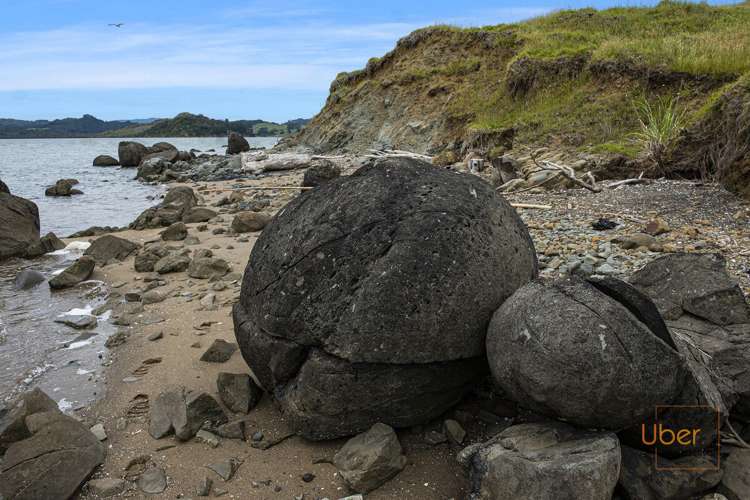 Brindle Road Whirinaki_16