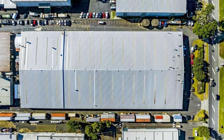 670 Rosebank Road Avondale_5