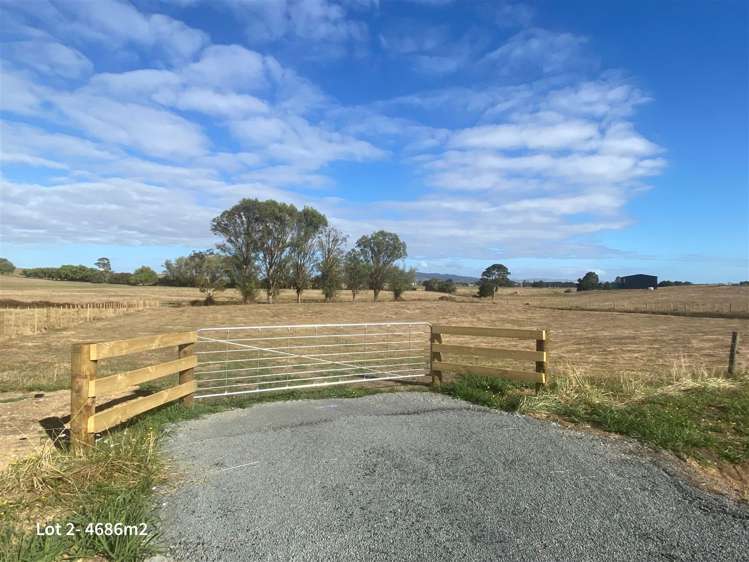 Taukoro Road Morrinsville_4