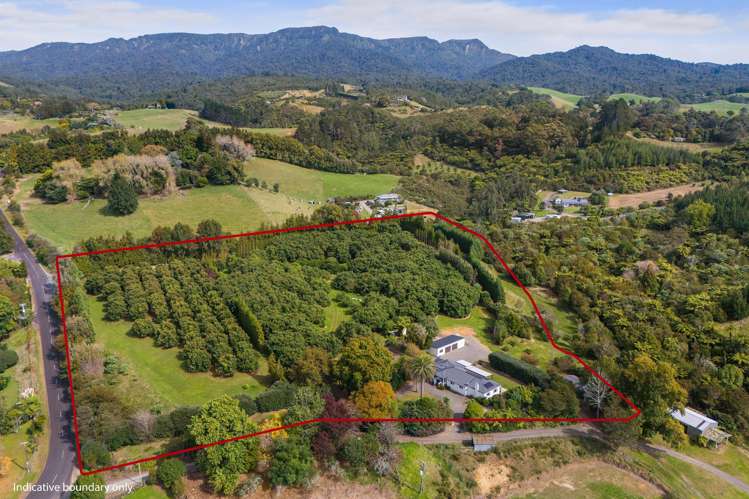 82 Upland Road Katikati_25
