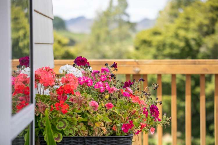 78 Prictor Road Wellsford_21