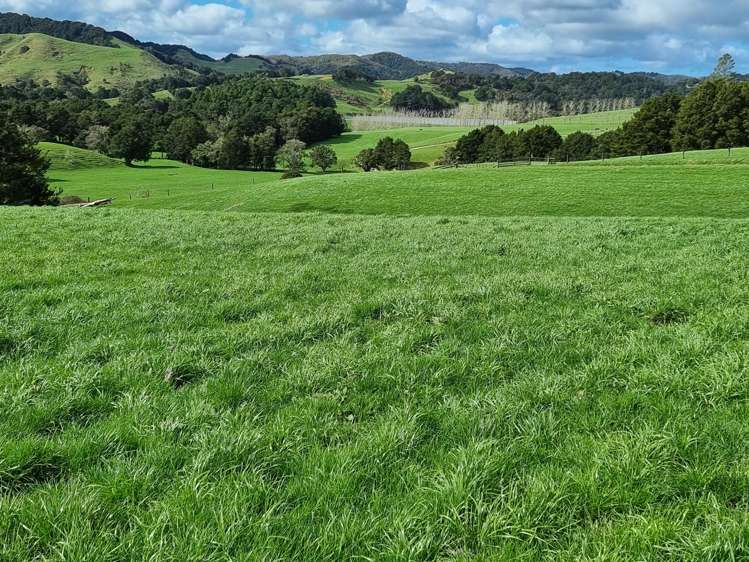 Lot 1-3 Millbrook Road Waipu_7