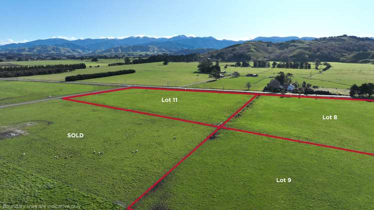 631 Opaki-Kaiparoro Road, R D 2 Masterton_1