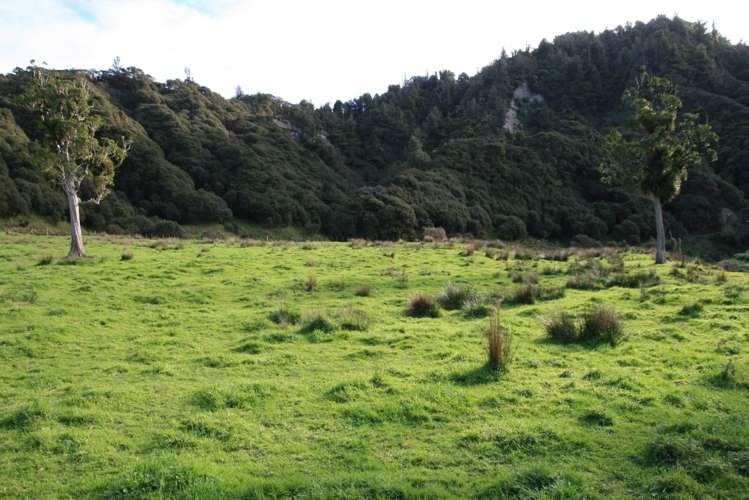 268 Piko Road Okoki_30