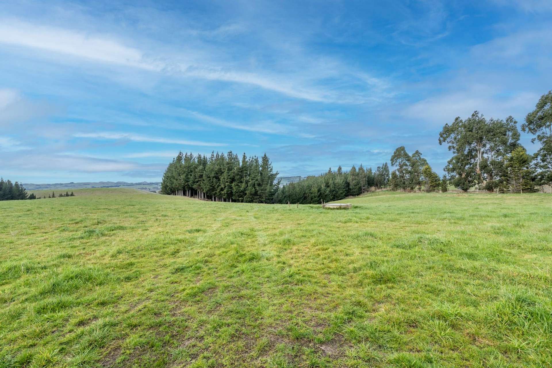 22 Paterson Road Waimumu_0