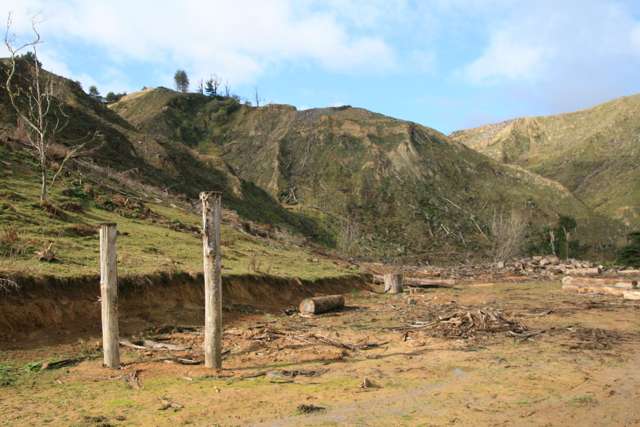 0n Makakaho Road Ngamatapouri_2