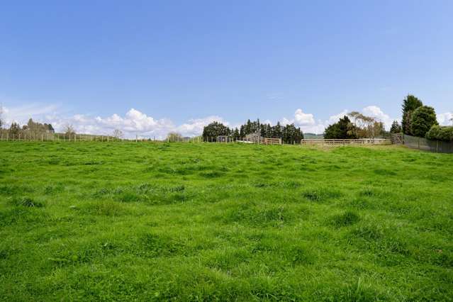 3/859 Maungatautari Road Cambridge_4