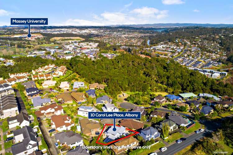 10 Carol Lee Place Albany Heights_18