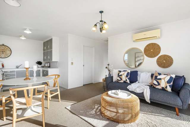 8a Fordham Street Beach Haven_2