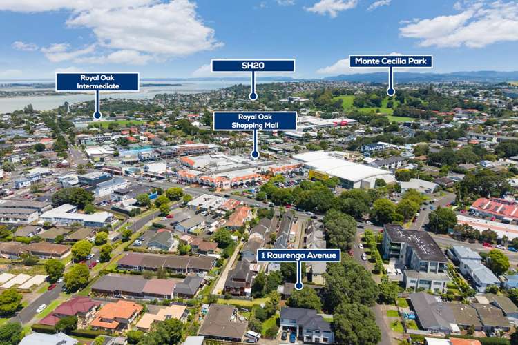 1 Raurenga Avenue Royal Oak_5