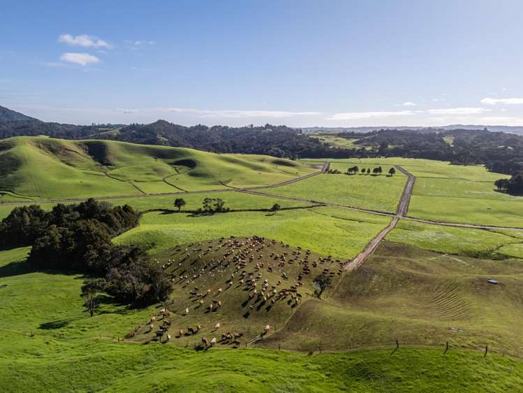 Crene Road Kaitaia_5