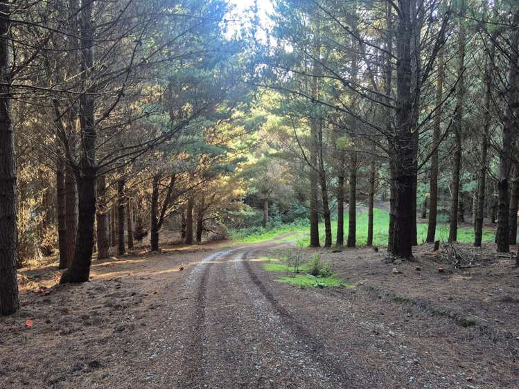 4894 Hampden-Palmerston Road Palmerston_46