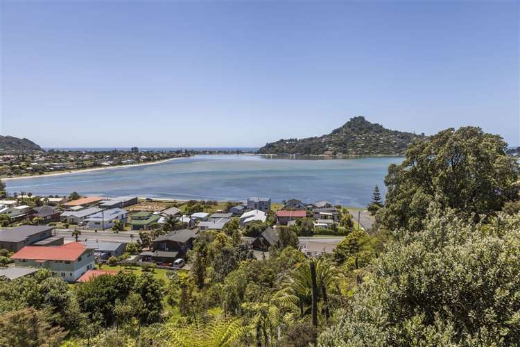16 Pine Grove Tairua_19