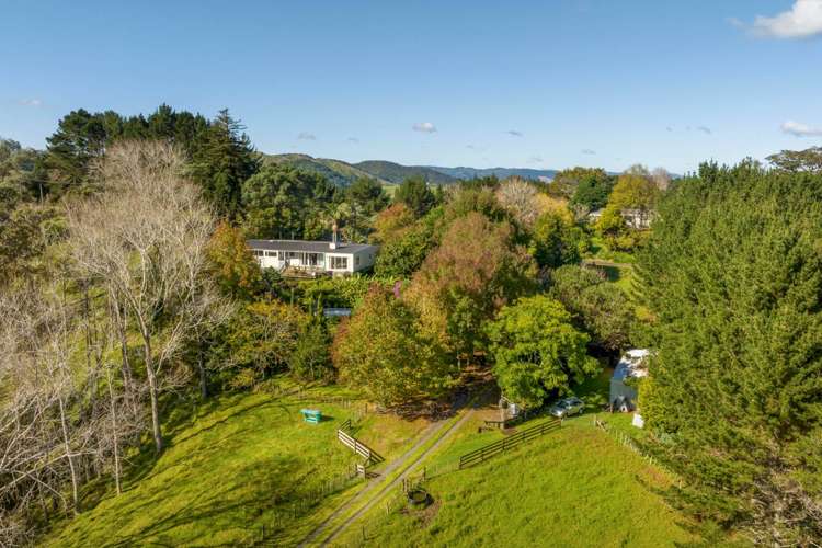 162 Ara-Kotinga Whitford_10