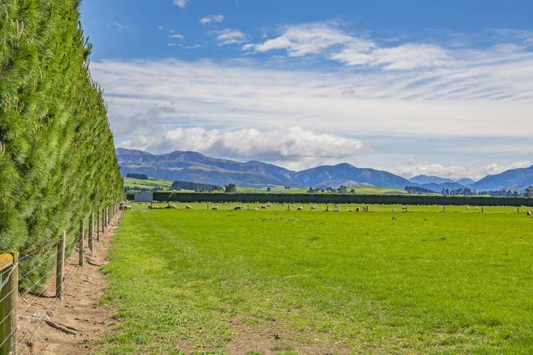 677 Pig Saddle Road Sheffield_9