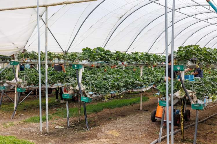 505 State Highway 2 Opaki_6