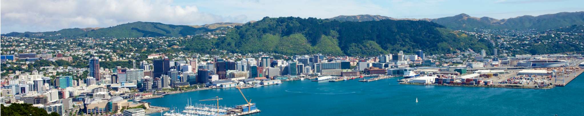 CBRE (Agency) Ltd (Licensed: REAA 2008) - Wellington