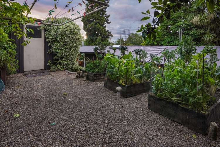 54 Memorial Drive Hamilton East_22