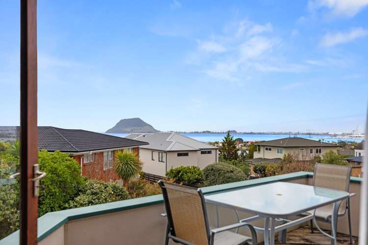 29 Lemon Grove Avenue Otumoetai_9