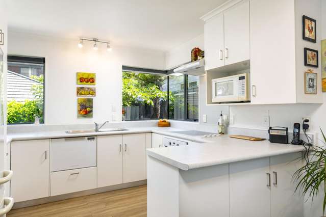 4a Surrey Street Picton_4