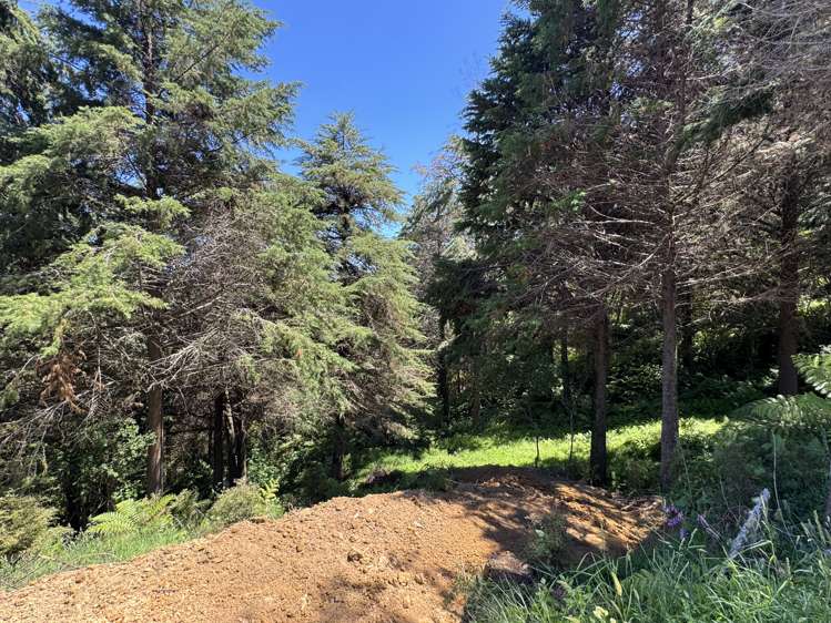 Lot 2 Brown Road Kawhia_17