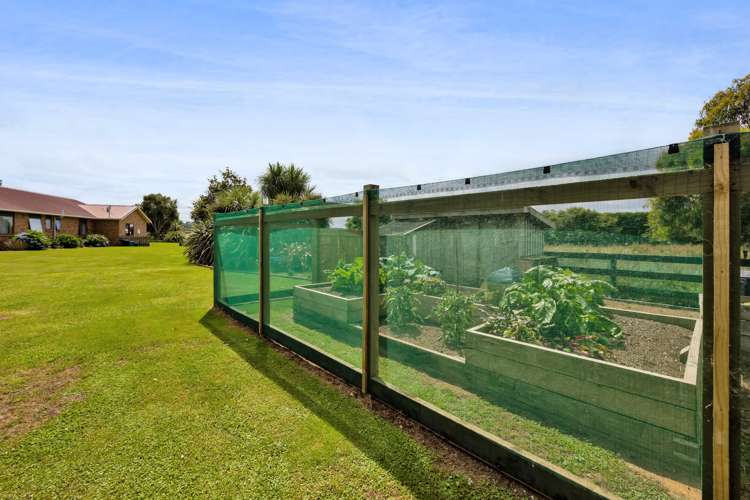 320 Austin Road Normanby_19