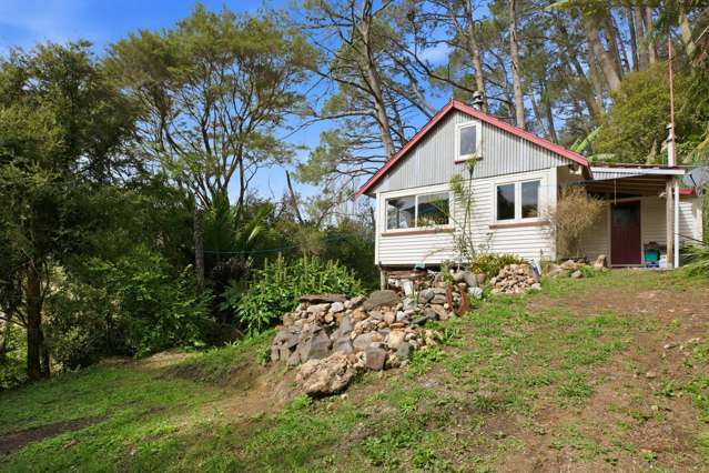 294 Tapu Coroglen Road Tapu_2