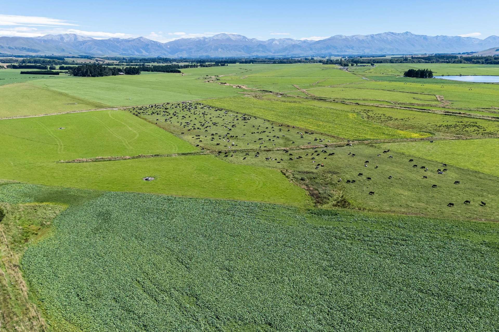 Address withheld Fairlie_0