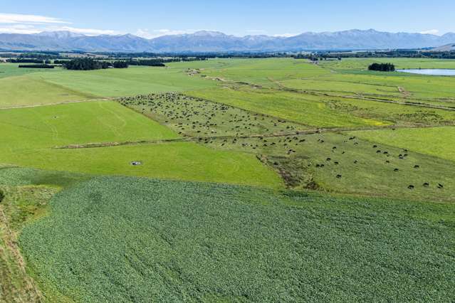 13% + ROC - Central South Island dairy opportunity