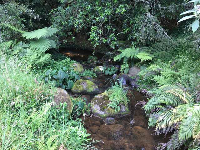 Whakataha Road Waimate North_3