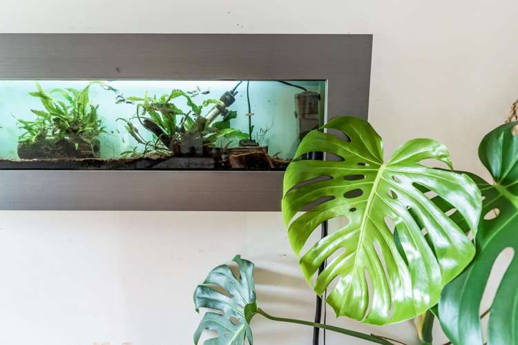 126 Fordyce Road Parakai_7