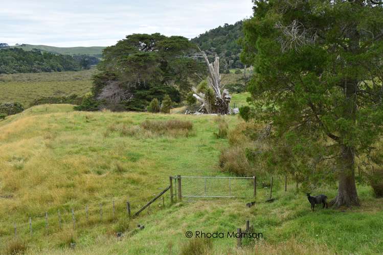 10 Te Pahi River Drive Paparoa_70