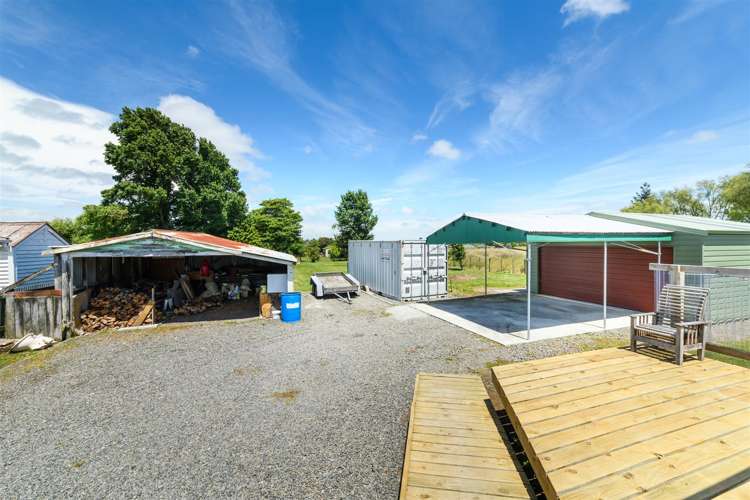 25 Flower Street Bulls_23