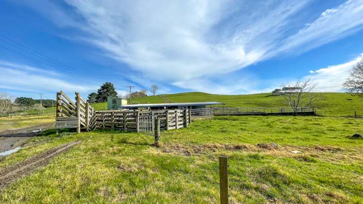 377 Bain Road Ruawaro_18