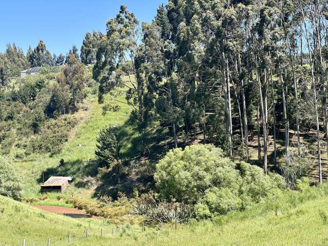 3 Mackenzie Point Rise Oamaru_3