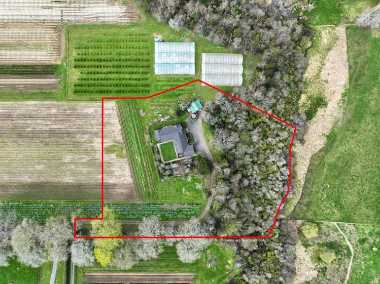 491E Bruntwood Road Tamahere_24