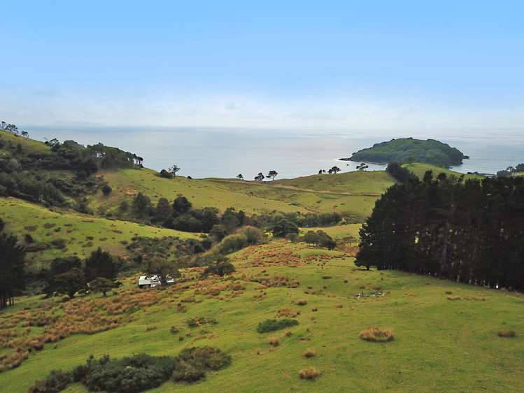 123 Goat Island Road Leigh_12