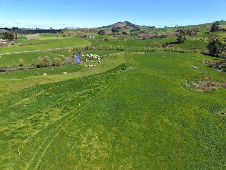258 Wharepapa South Road Te Awamutu_7