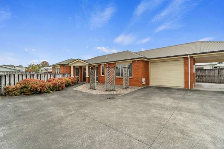 250A Park Road Te Awamutu_12