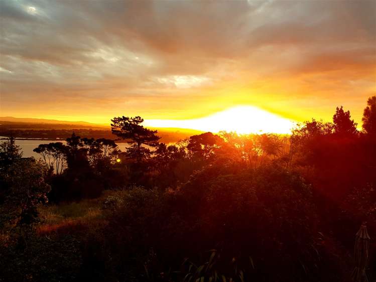 17 Chatham Avenue Paremoremo_17