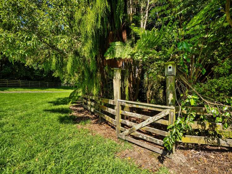 Lot 3 6A Waiata Road Te Puna_6