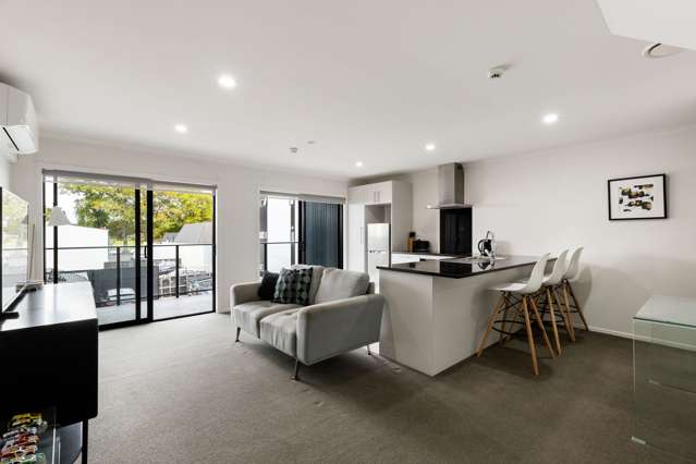 9/13 Vialou Street Hamilton Central_2