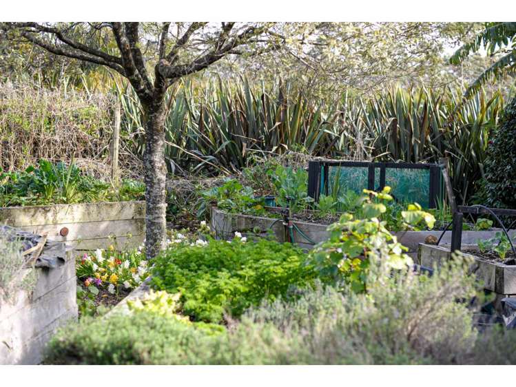 75 Riverstream Drive Kerikeri Surrounds_24