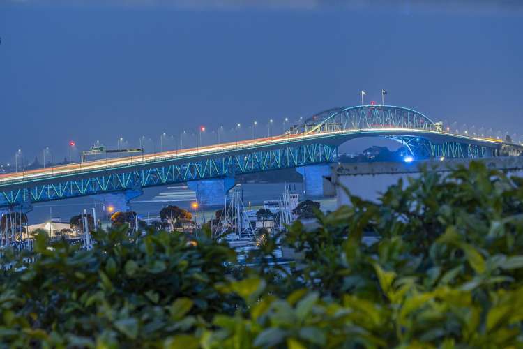 8 Amiria Street Saint Marys Bay_9