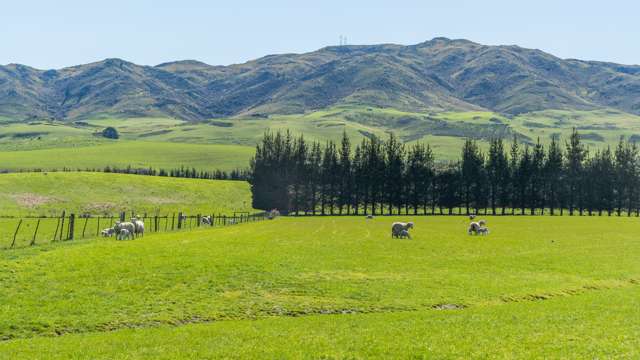 554 Waikari Valley Road Scargill_3