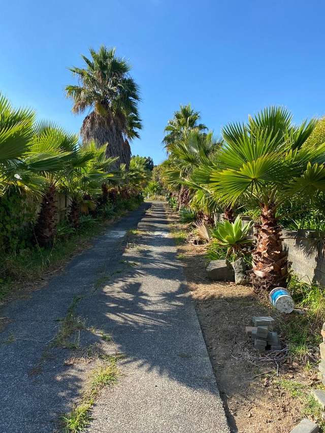 Address withheld Flat Bush_2