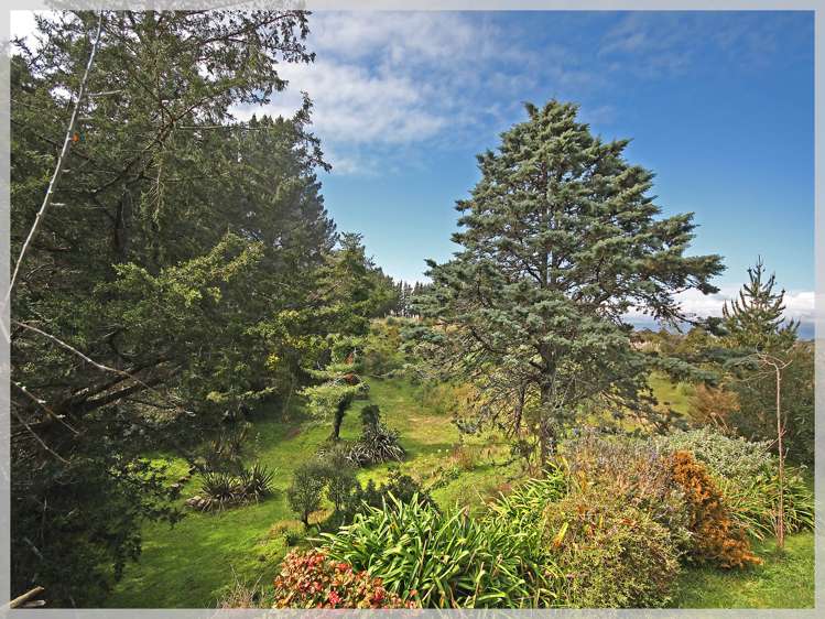 66 Palmer Road Foxton Beach_5
